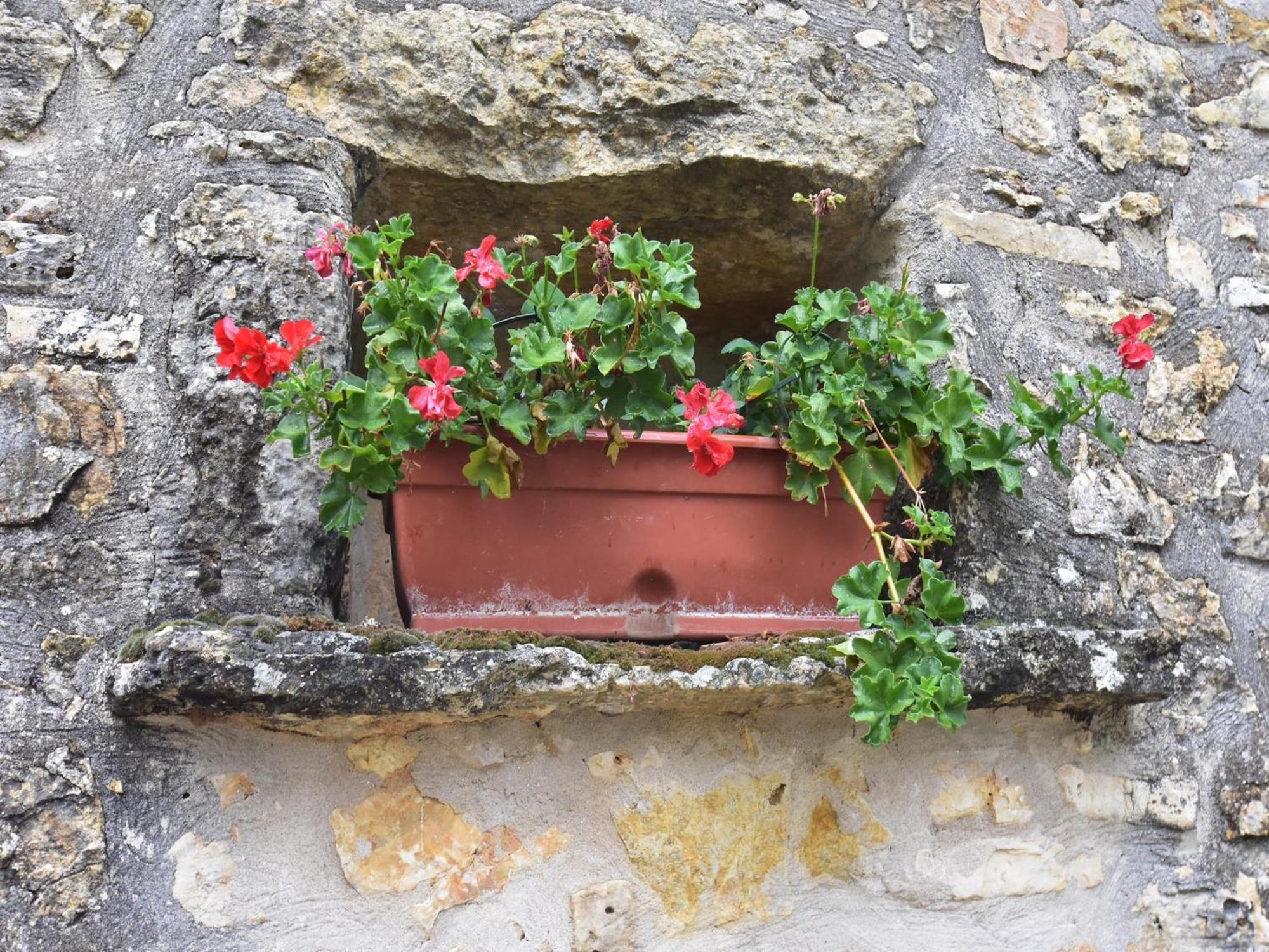 Quaint Home In Berbigui Res Valley Of The Castles At 15Min Saint-Germain-de-Belvès Exterior foto